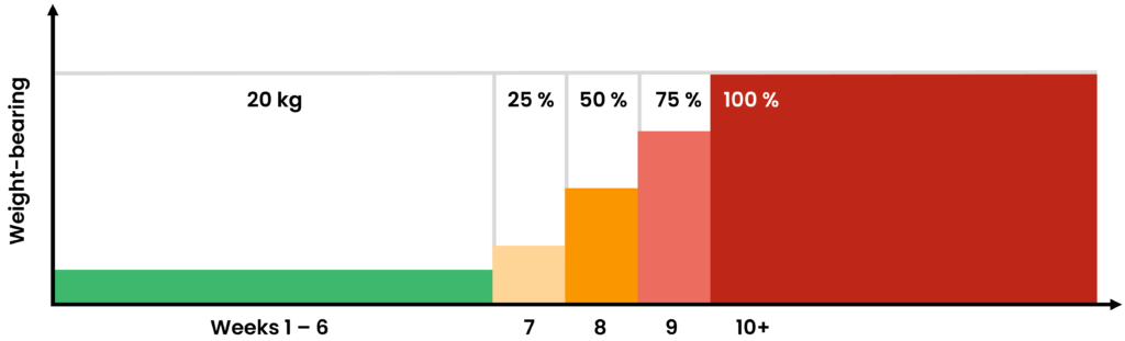 Example for a weight-bearing protocol: 6 weeks of low loadings, followed by load build-up